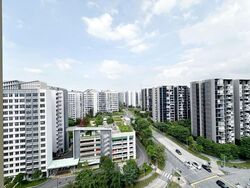 Blk 874B Tampines Greenflora (Tampines), HDB 5 Rooms #560558441